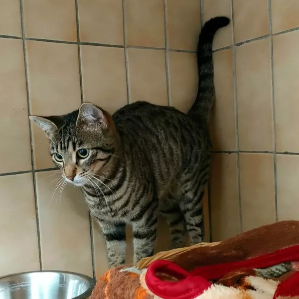 Mia