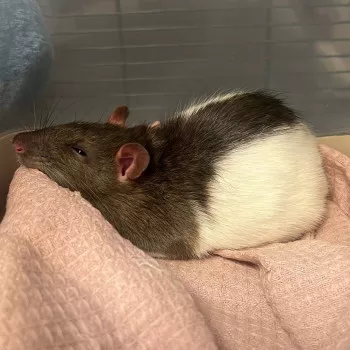 Jim