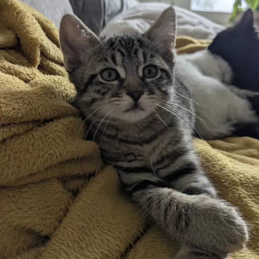 Billy