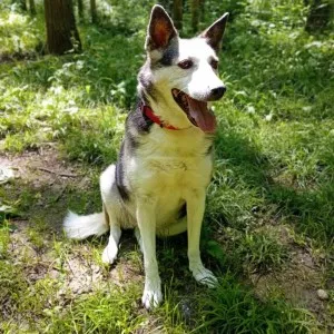 Lili