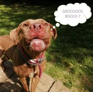 Tyson