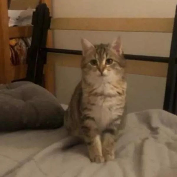 Minnie