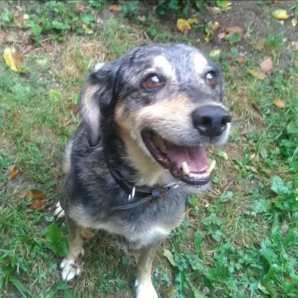 Marley
