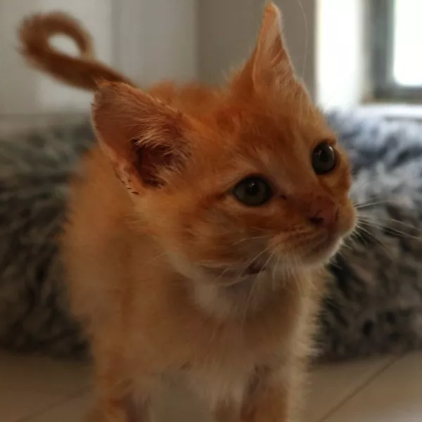 Jerry
