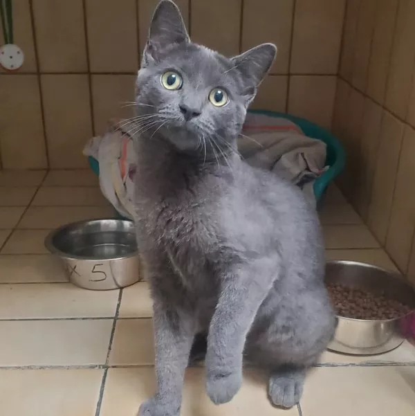 Tamtam