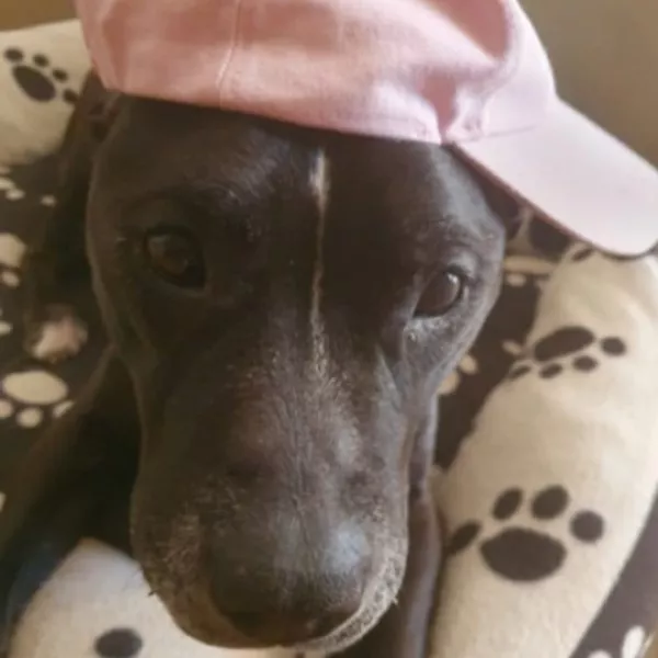 Dexter