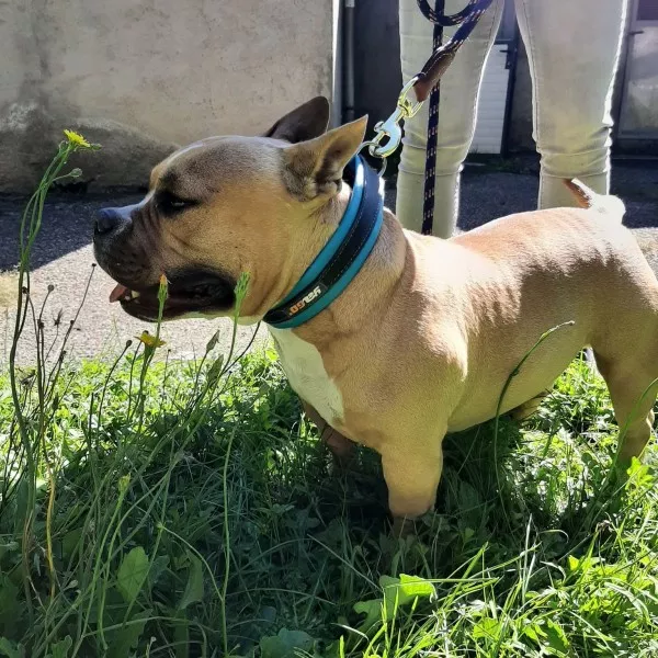 Jax
