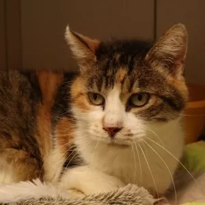 Lucky - Coup De Pouce