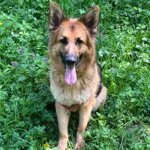 Roxy