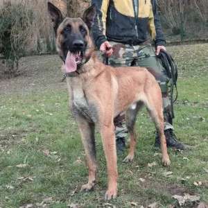 Kaiser