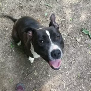 Keyla