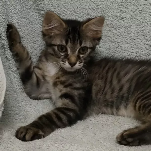 Winnie