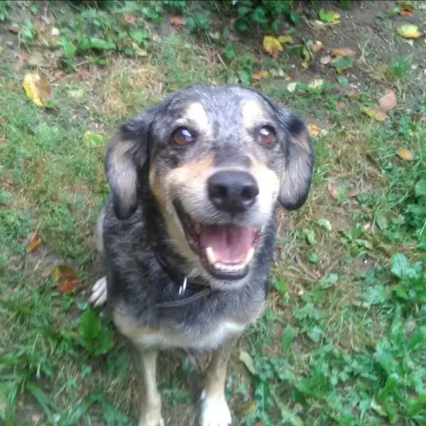 Marley