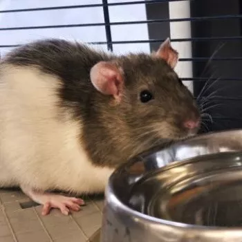 Jim