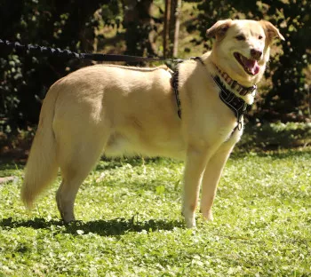 Eli/ Adopté