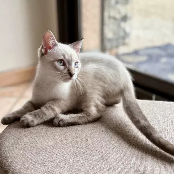Filippo