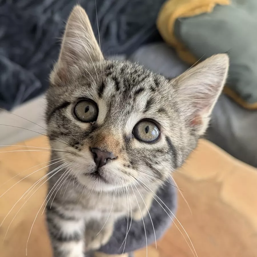Billy