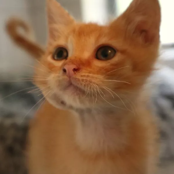 Jerry