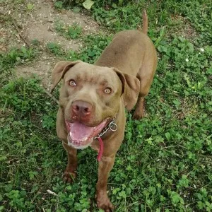 Tyson