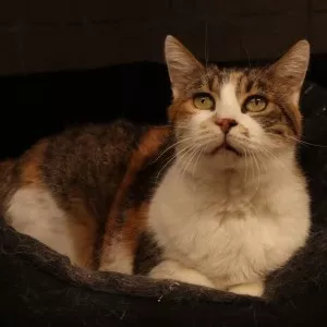 Lucky - Coup De Pouce