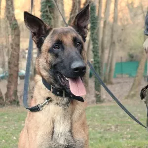 Kaiser