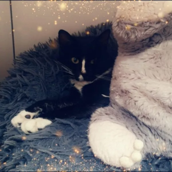 Noël