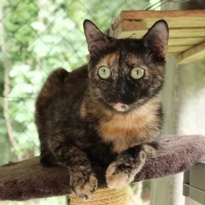 Prudence