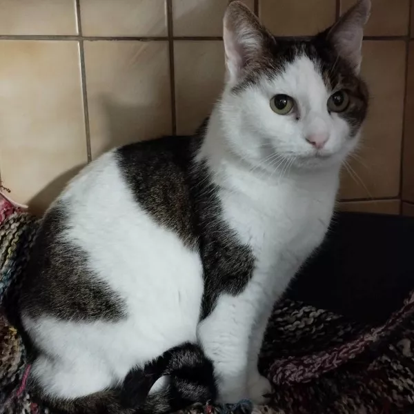 Mimie