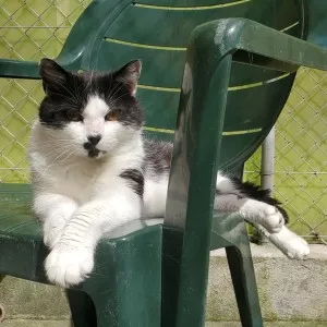 Tiggy