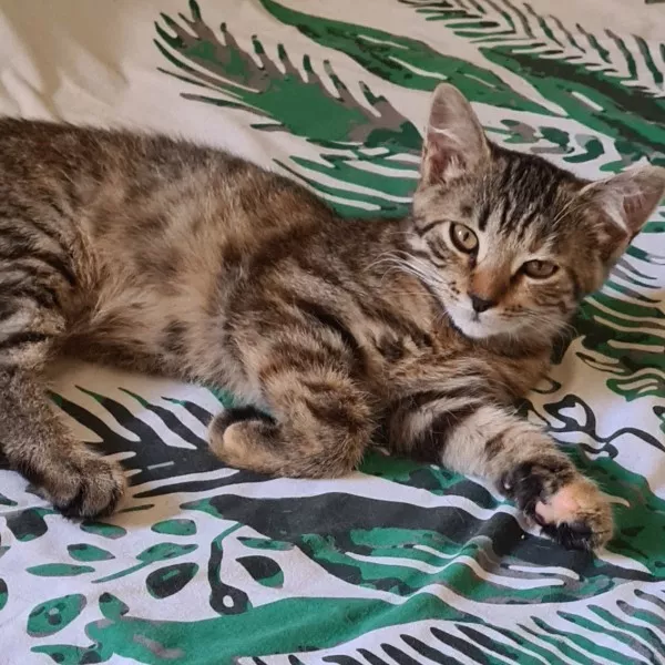 Yuki