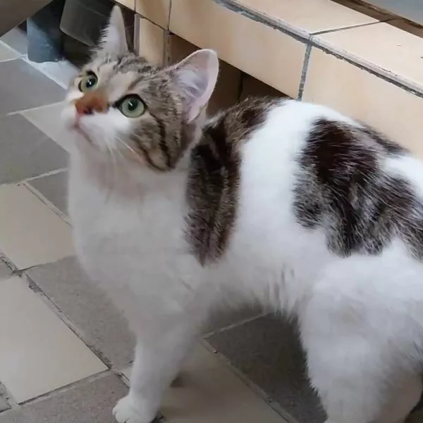 Carla