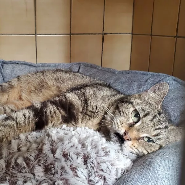 Nadia