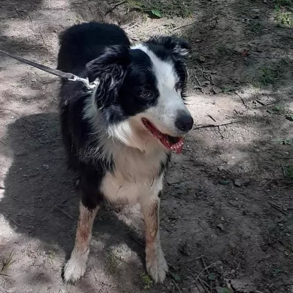Gary