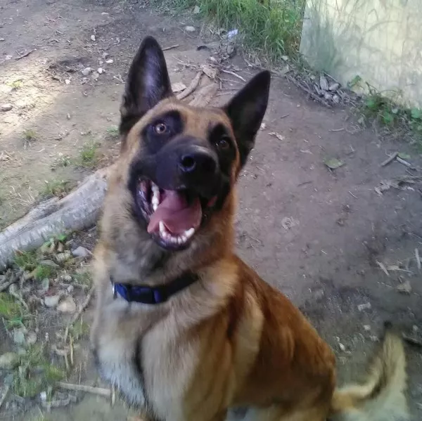 Kairon