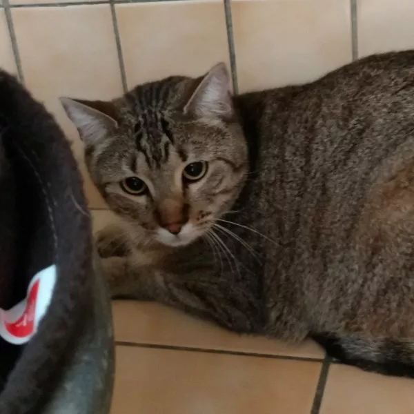 Yuki