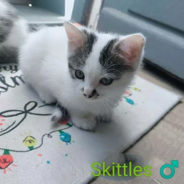 Skittles