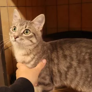 Galack