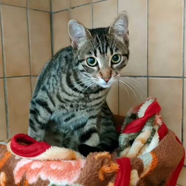 Mia