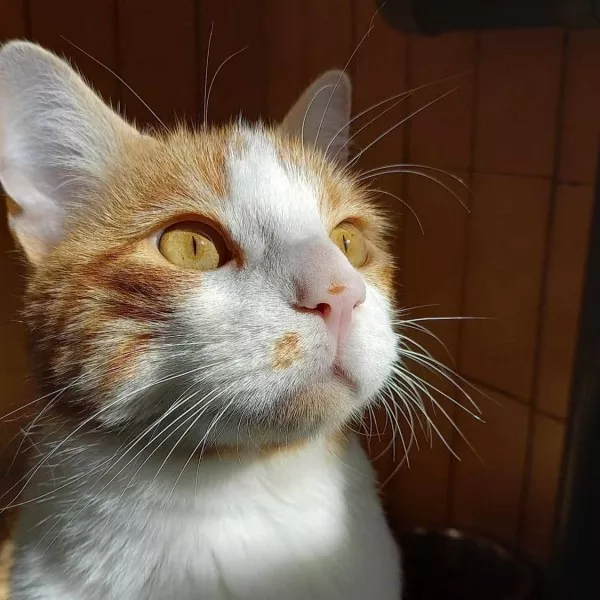 Barry