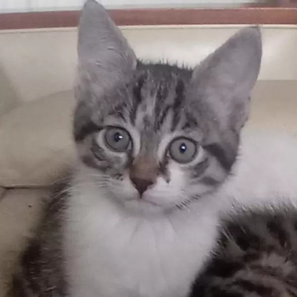 Mia