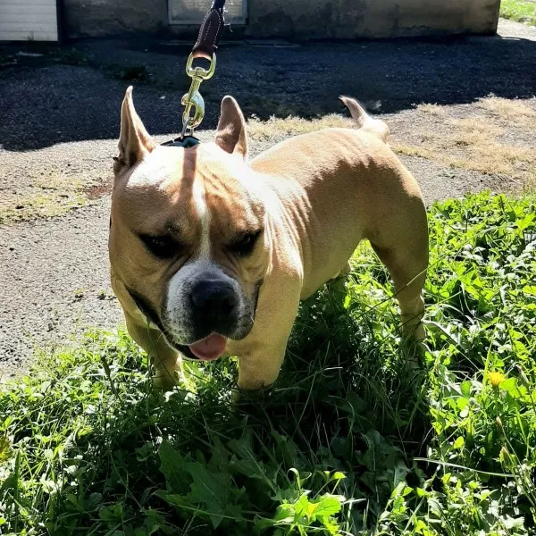 Jax