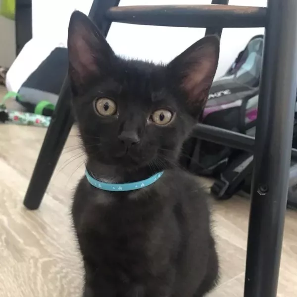 Timmy